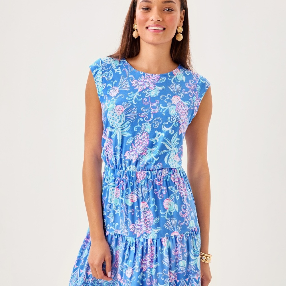 NWOT LILLY PULITZER Danville Dress
